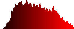 Alpine flower in the grass - Histogram - Red color channel