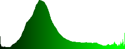 Close-up of an Eurasian Jay (Garrulus glandarius) on a pine tree in winter - Histogram - Green color channel