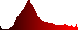 Close-up of an Eurasian Jay (Garrulus glandarius) on a pine tree in winter - Histogram - Red color channel