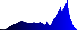 Close-up of an Eurasian Jay (Garrulus glandarius) sitting in the snow - Histogram - Blue color channel