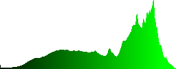 Close-up of an Eurasian Jay (Garrulus glandarius) sitting in the snow - Histogram - Green color channel