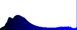 Arborvitae seedlings side by side in a garden - Histogram - Blue color channel