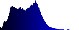 Closeup of some randomly scattered vine branches - Histogram - Blue color channel