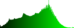 Closeup of some randomly scattered vine branches - Histogram - Green color channel