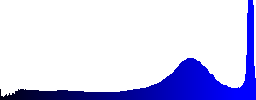 An Eurasian magpie eating fishes on the shore - Histogram - Blue color channel