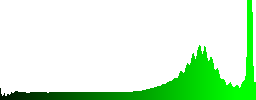 An Eurasian magpie eating fishes on the shore - Histogram - Green color channel