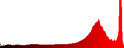 An Eurasian magpie eating fishes on the shore - Histogram - Red color channel