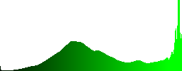 A bird feeder with a great tit (Parus major) on a pine - Histogram - Green color channel