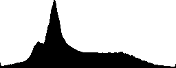 Dominant male sea lion in Peru. - Histogram - RGB color channel