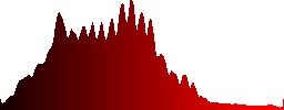 Hawfinch (Coccothraustes coccothraustes) on the nut tree - Histogram - Red color channel