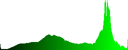 Volcanic lake on the seaside - Histogram - Green color channel