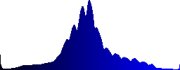 A hawfinch (Coccothraustes coccothraustes) seen from behind - Histogram - Blue color channel