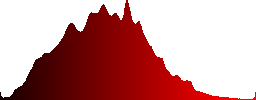 A sitting hawfinch (Coccothraustes coccothraustes) - Histogram - Red color channel