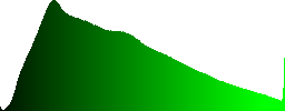 A small brook running in the forest - Histogram - Green color channel