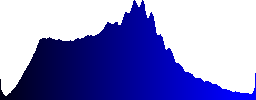 Cooking outdoors in a cauldron - Histogram - Blue color channel