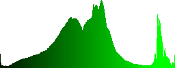 Horses grazing in a beautiful mountainous environment - Histogram - Green color channel