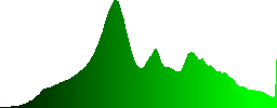 Nice view to the hillside with road and tunnel - Histogram - Green color channel