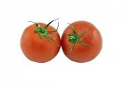 Closeup of two nice tomatoes isolated on white background - Two tomatoes