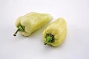 Two hungarian sweet peppers on white background - Hungarian wax peppers