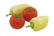 Two bell peppers and two tomatoes isolated on white background - Bell peppers and tomatoes