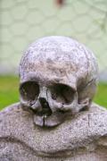 A small skull on a stone - Human skull