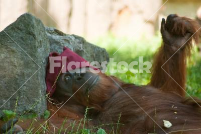 A hot day - It is very hot, he's having a rest