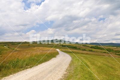 Gravel road - A gravel road leading through meadows