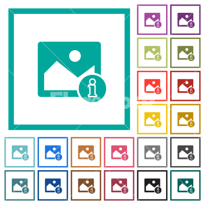 Image info flat color icons with quadrant frames - Image info flat color icons with quadrant frames on white background